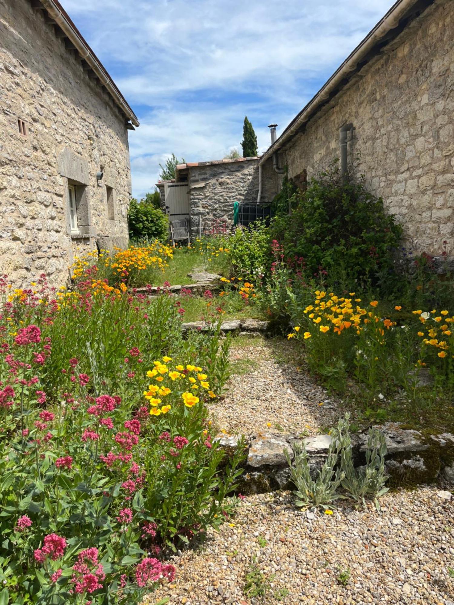Les Gites Perard Caylus Εξωτερικό φωτογραφία