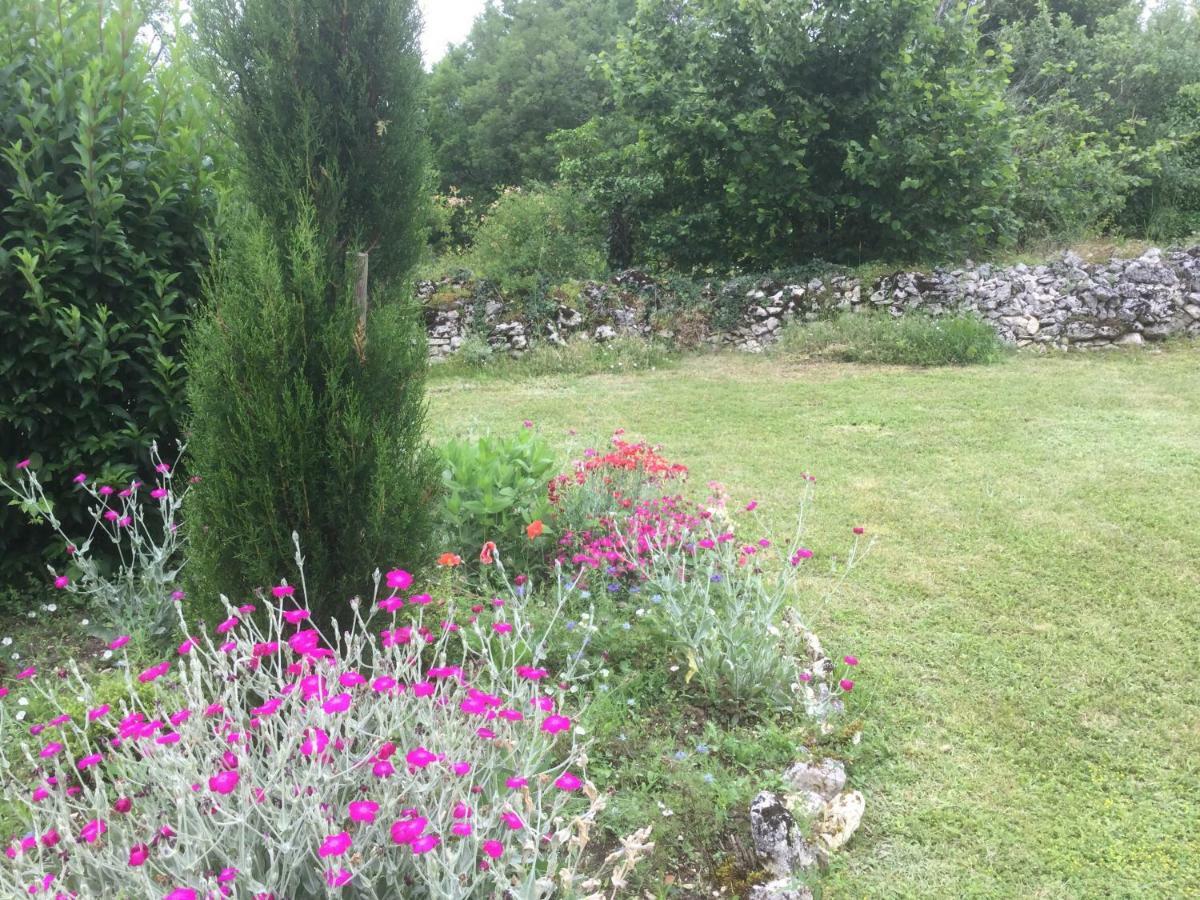 Les Gites Perard Caylus Εξωτερικό φωτογραφία